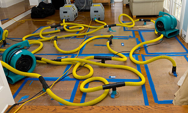 Professional Crawl Space Water Removal technician working in Bowers, PA